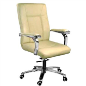 Dc9123 - Director Chair